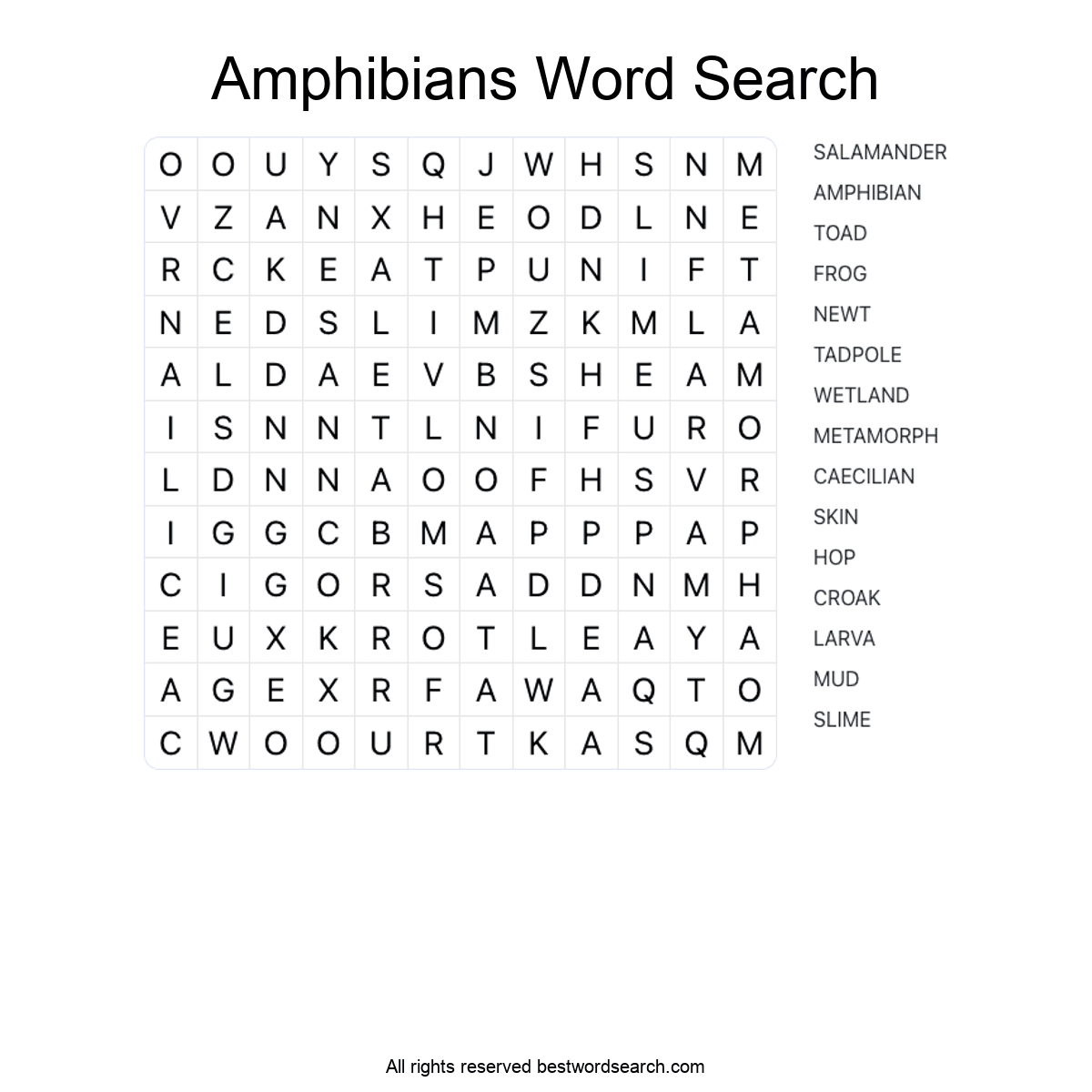 AMPHIBIANS (ANIMALS) Word Search Puzzle