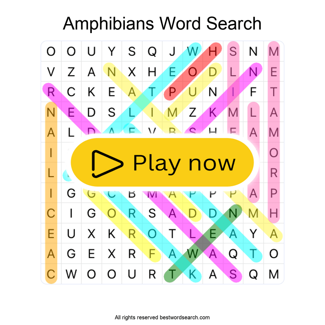 Amphibians puzzle