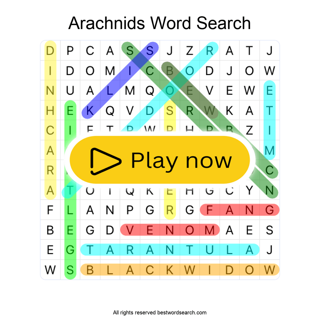Arachnids puzzle