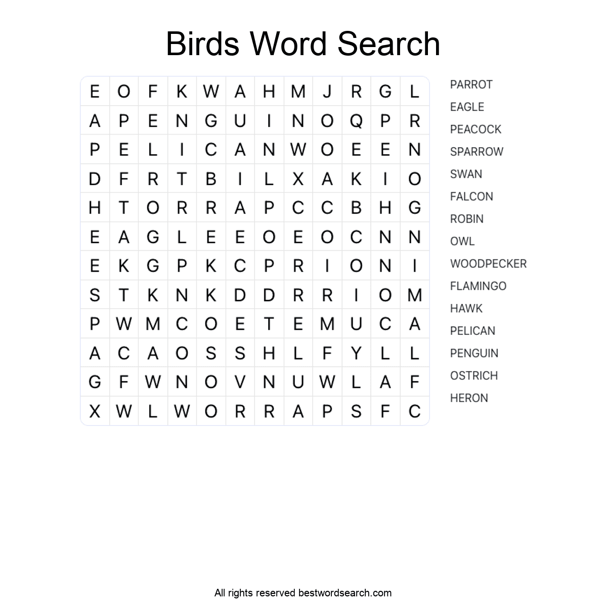 BIRDS (ANIMALS) Word Search Puzzle