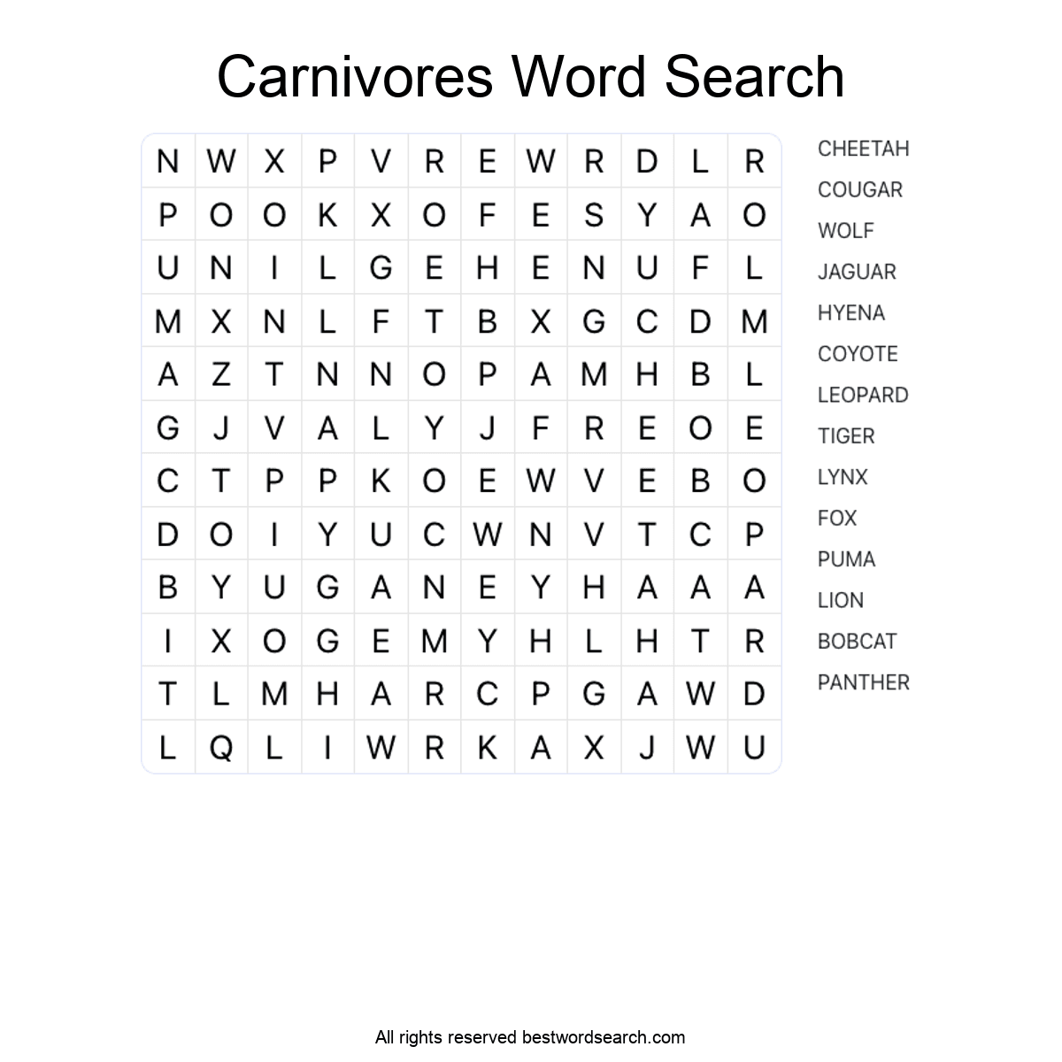 CARNIVORES (ANIMALS) Word Search Puzzle