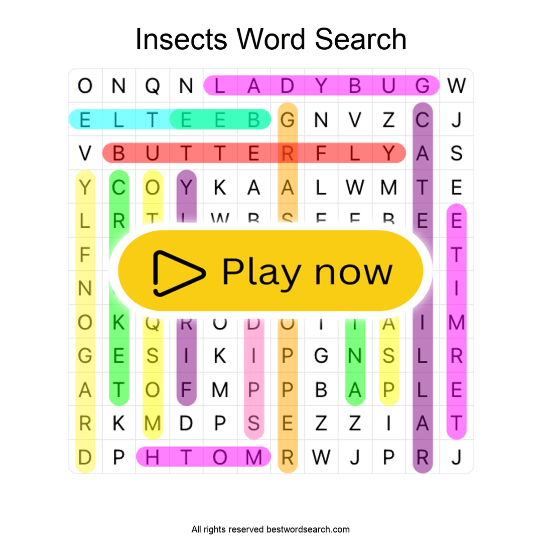 Insects puzzle