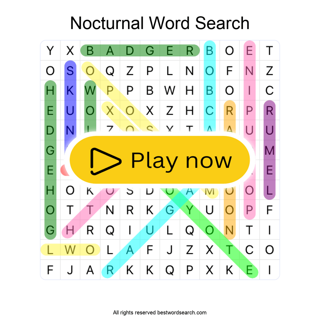 Nocturnal Animals puzzle