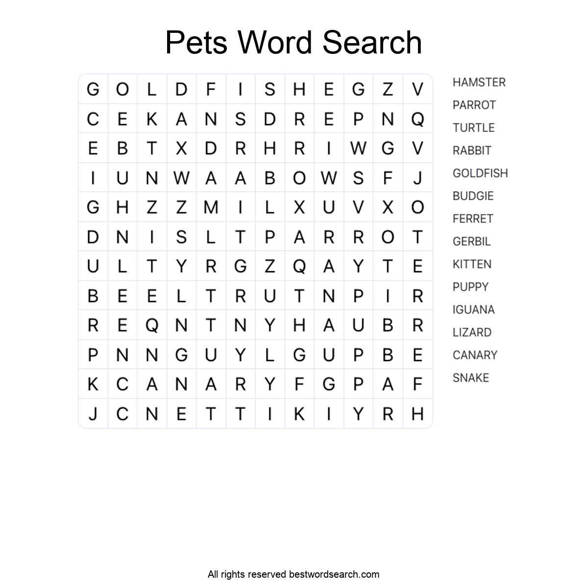 PETS (ANIMALS) Word Search Puzzle