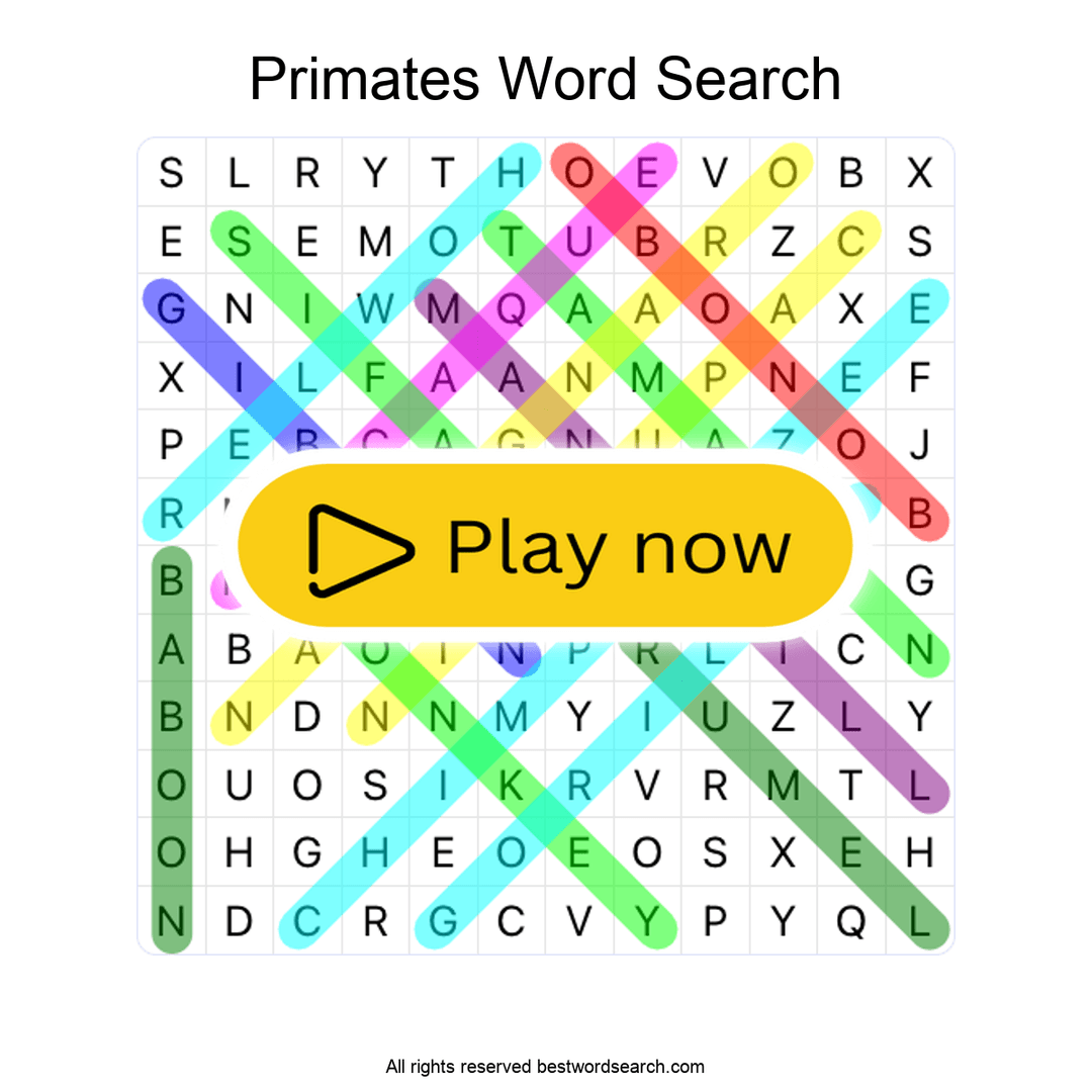 Primates puzzle