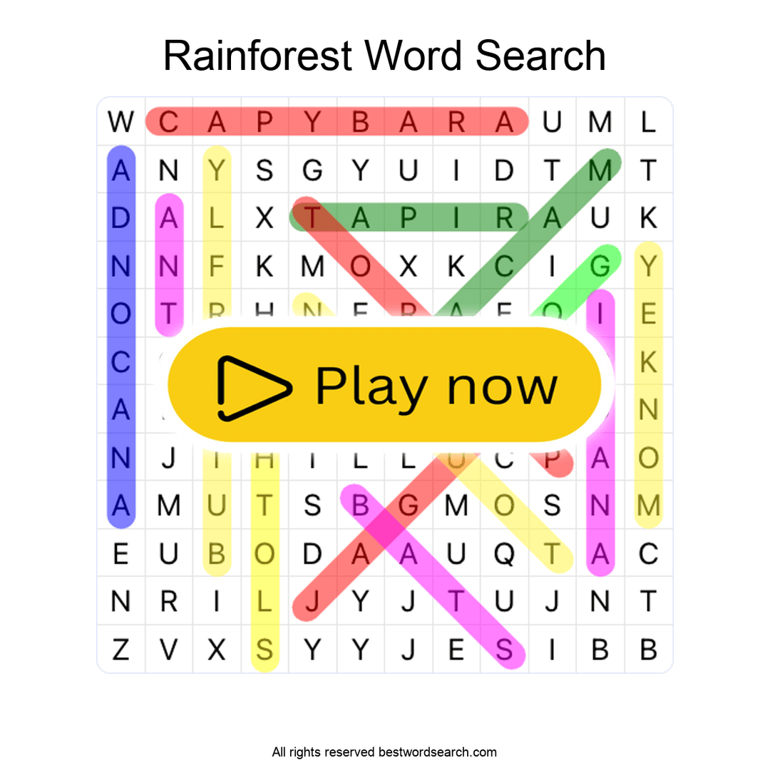 Rainforest Animals puzzle