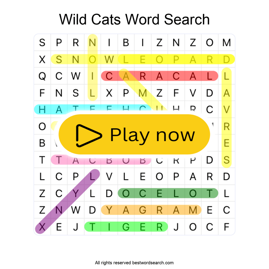 Wild Cats puzzle