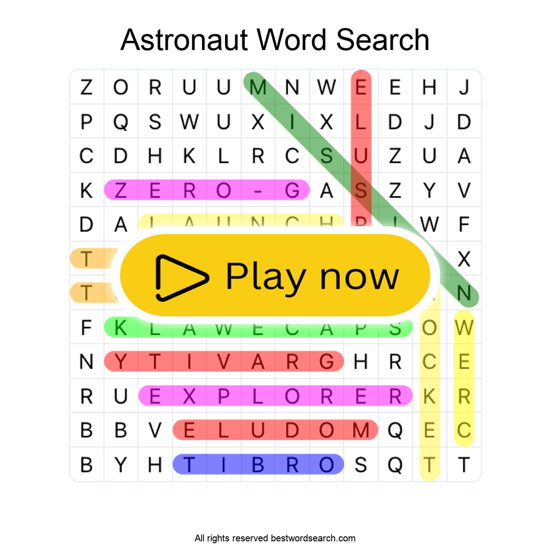 Astronaut puzzle