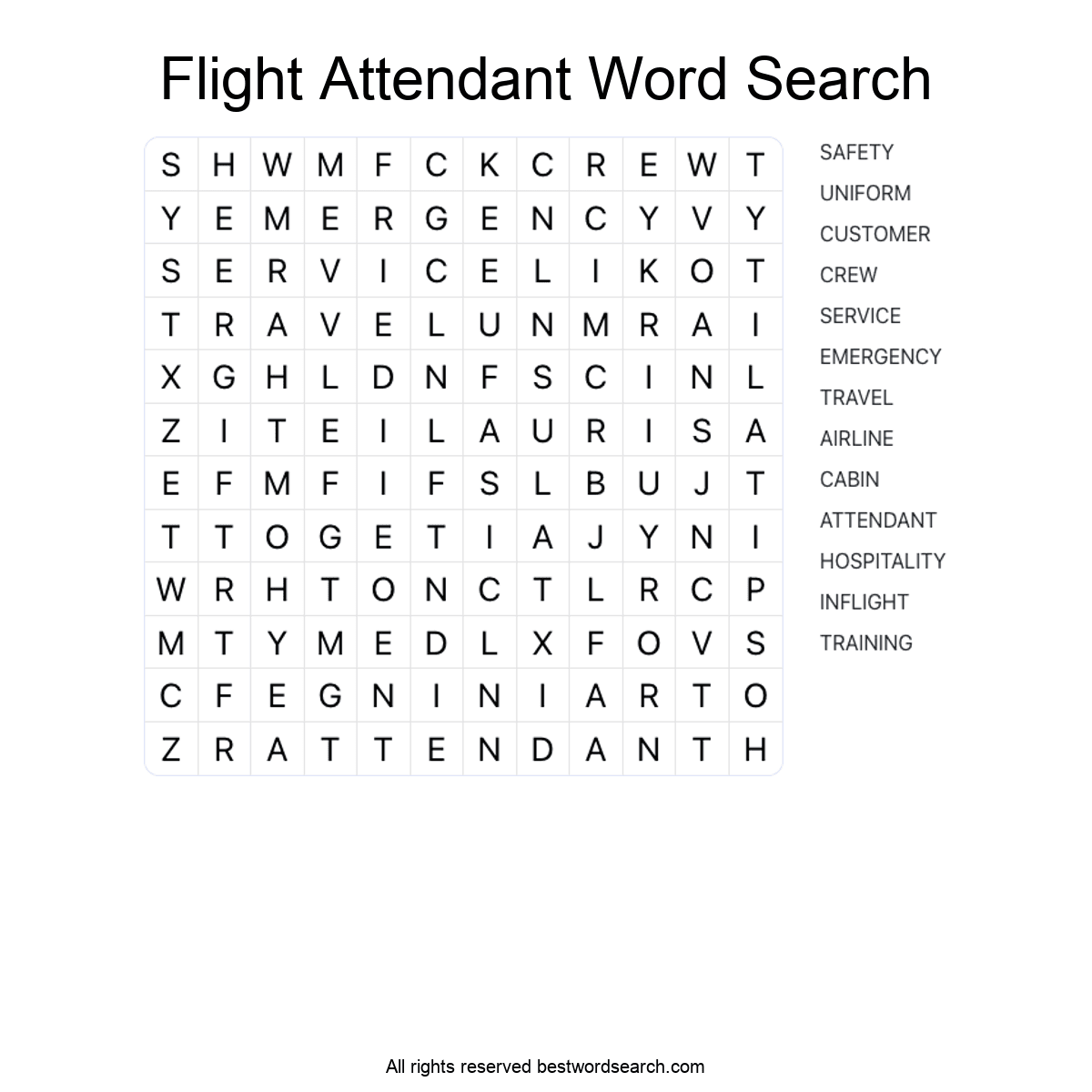 FLIGHT ATTENDANT (CAREERS) Word Search Puzzle