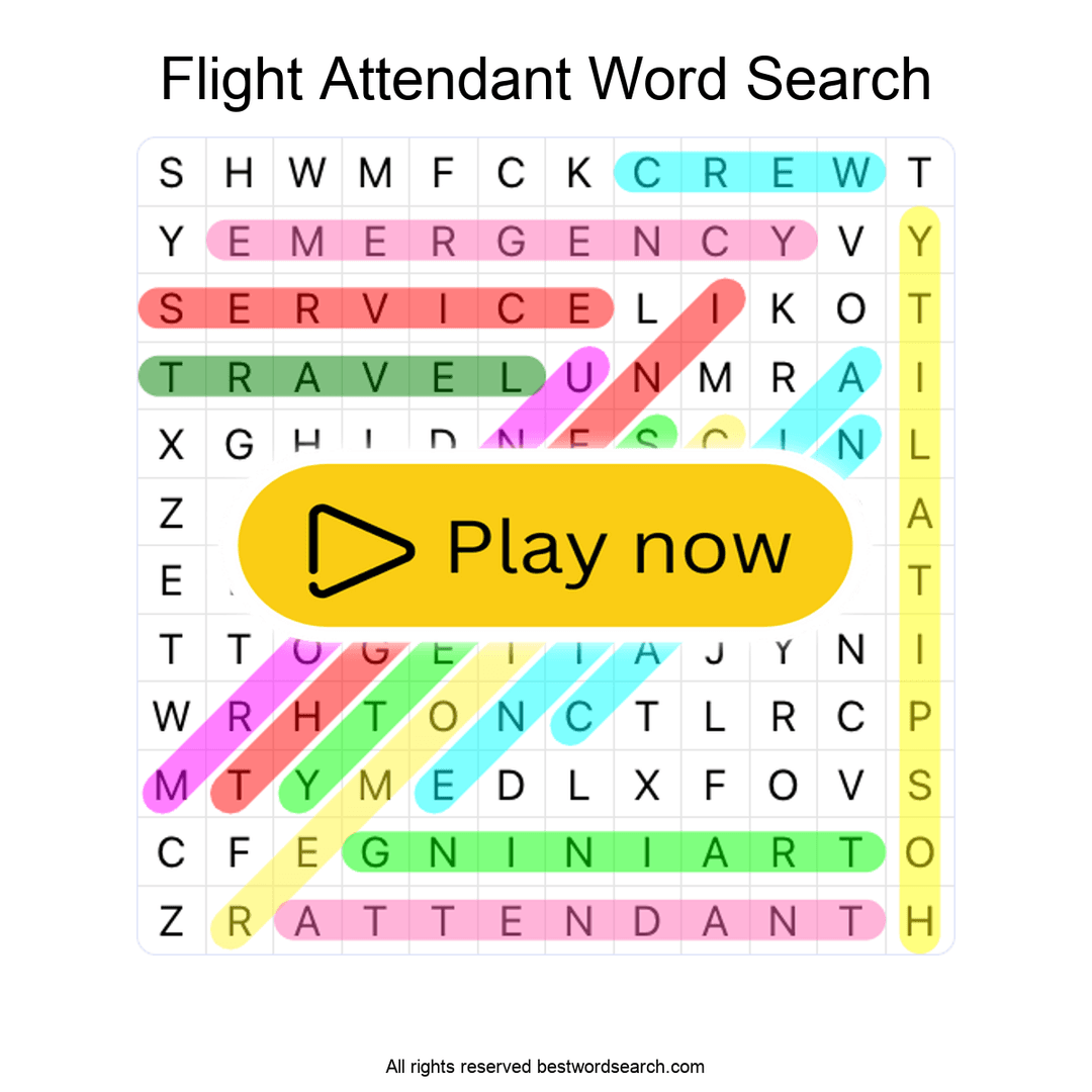 Flight Attendant puzzle