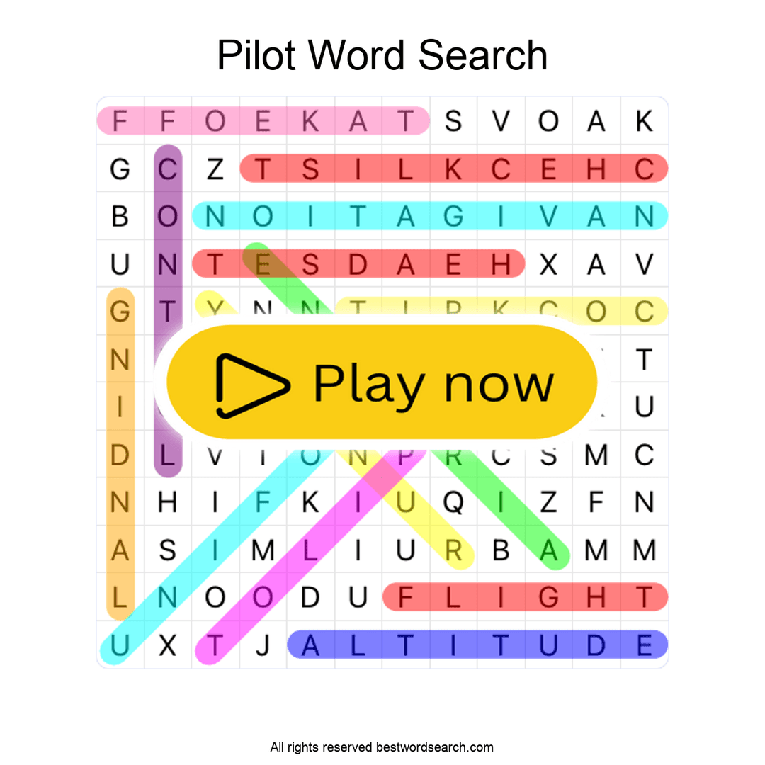 Pilot puzzle