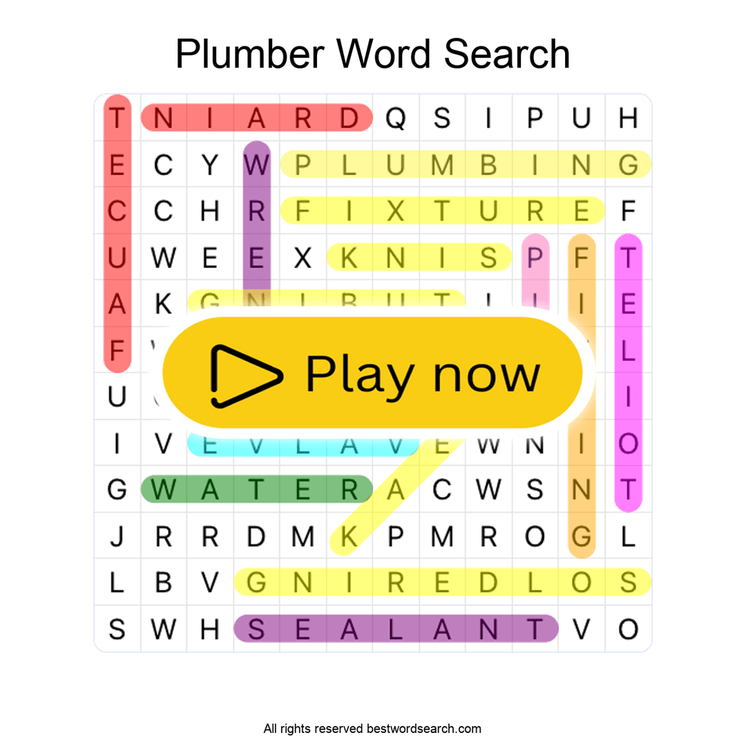 Plumber puzzle