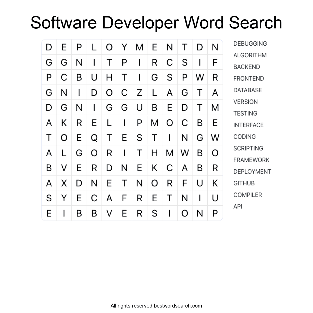 SOFTWARE DEVELOPER (CAREERS) Word Search Puzzle