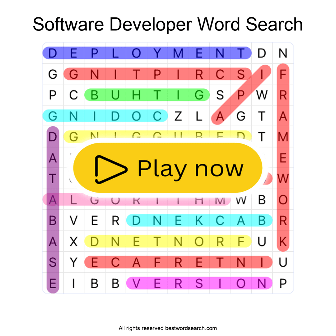 Software Developer puzzle