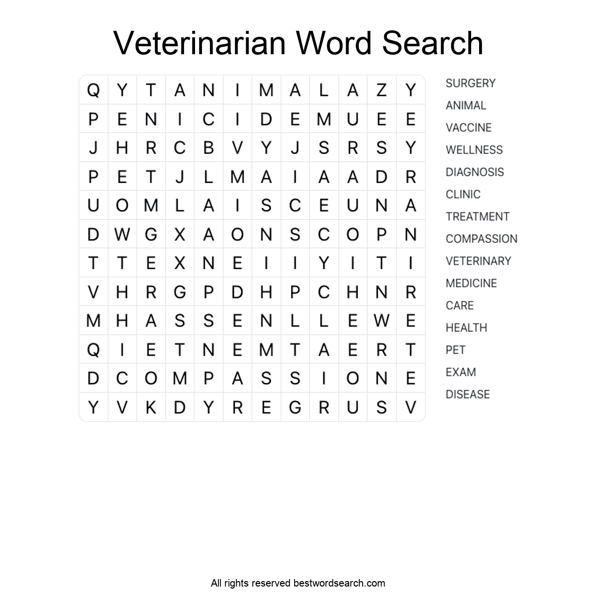 VETERINARIAN (CAREERS) Word Search Puzzle