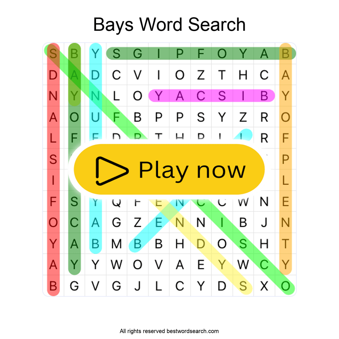 Bays puzzle