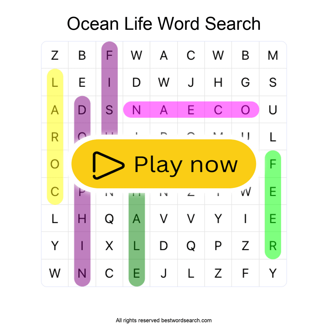 Ocean Life puzzle
