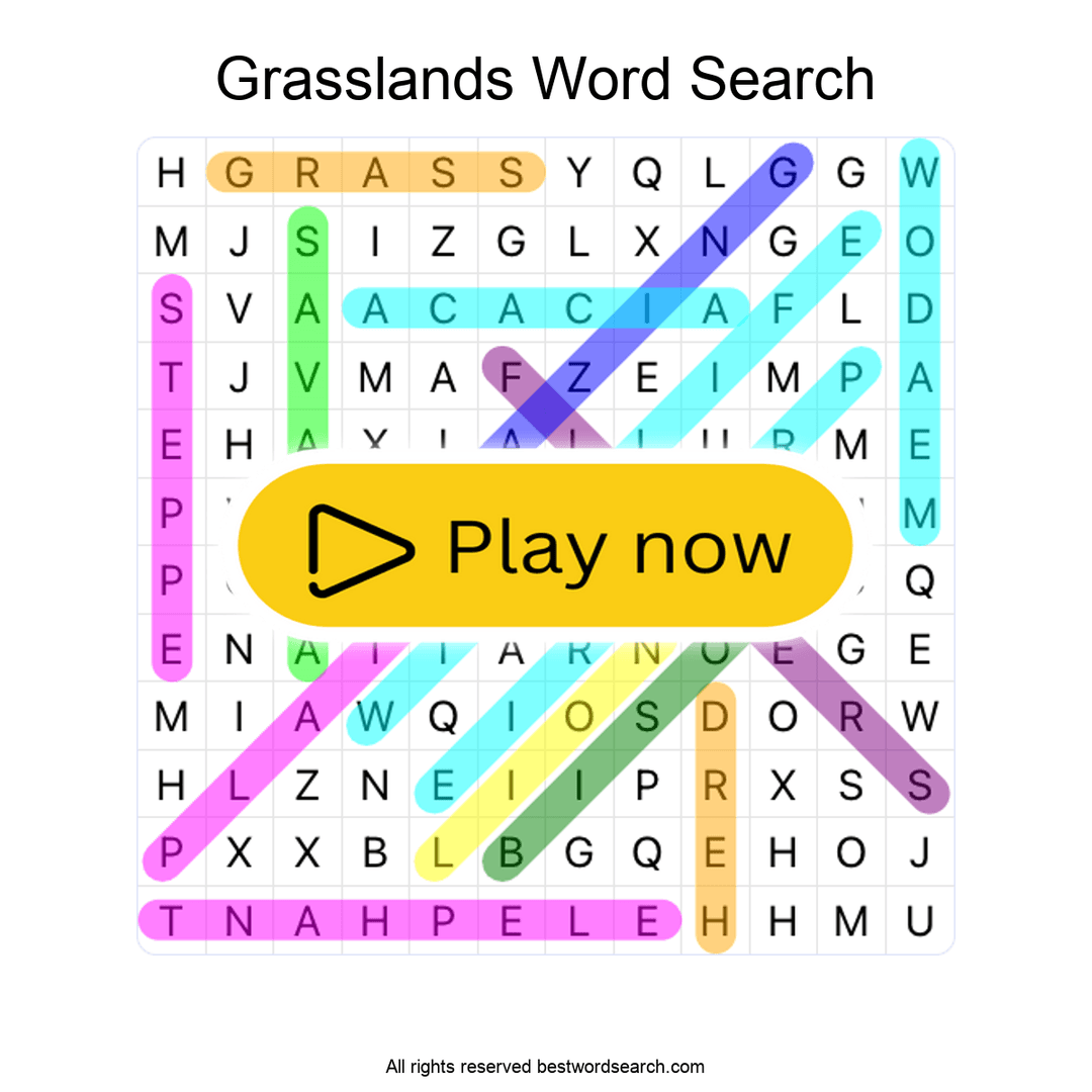 Grasslands puzzle