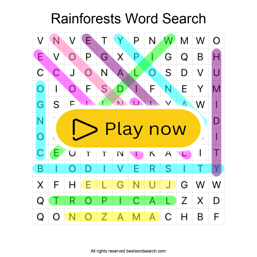 Rainforests puzzle