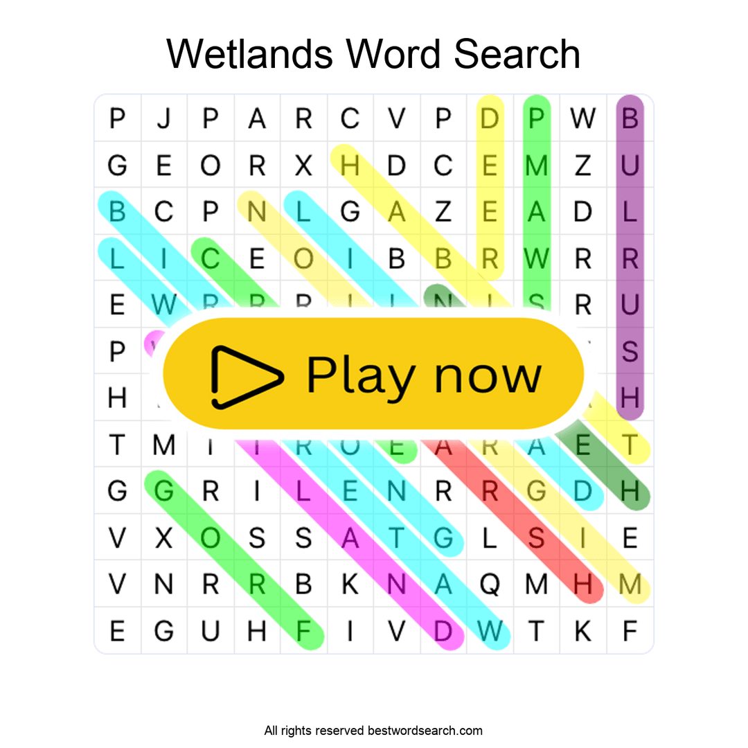 Wetlands puzzle