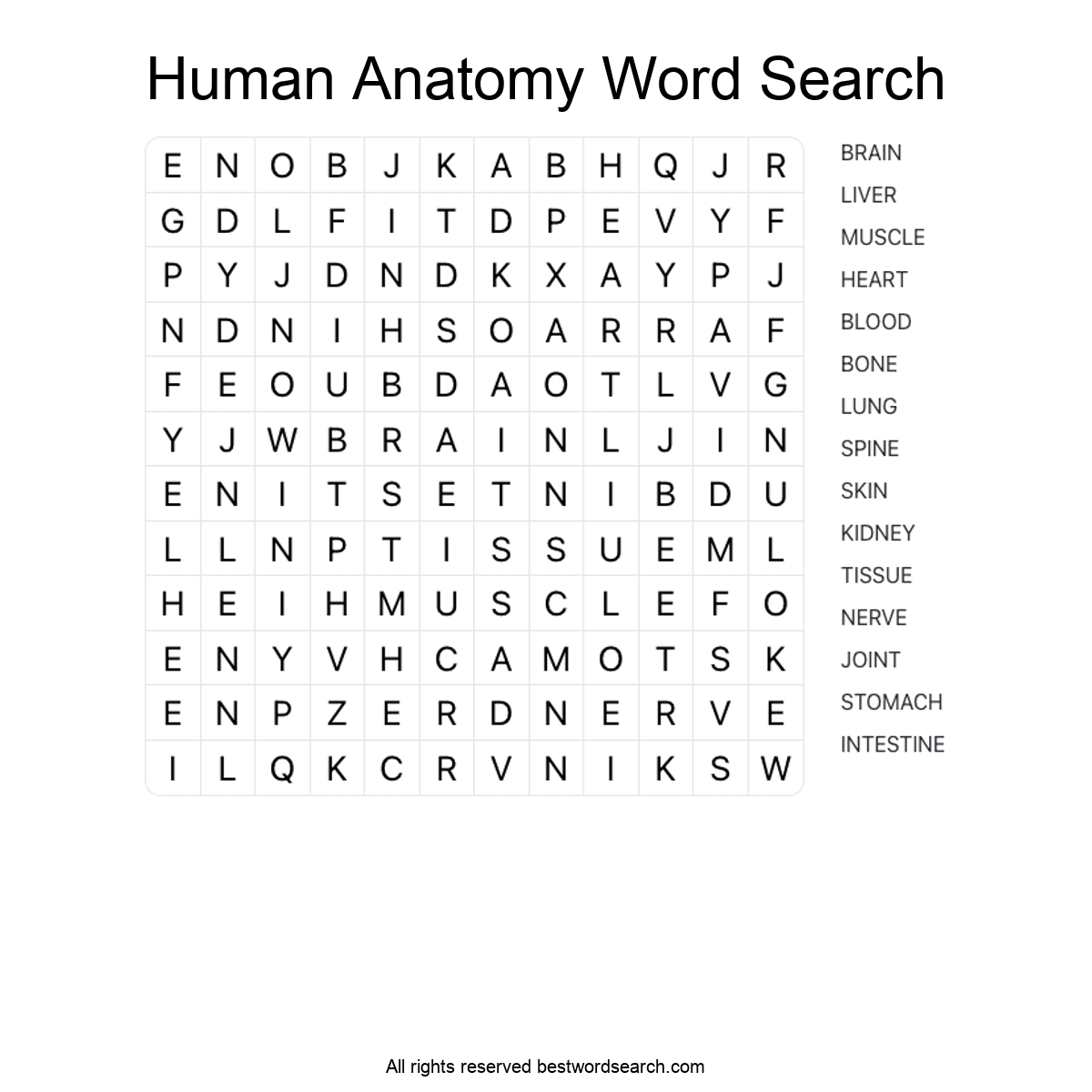 HUMAN ANATOMY (SCIENCE) Word Search Puzzle