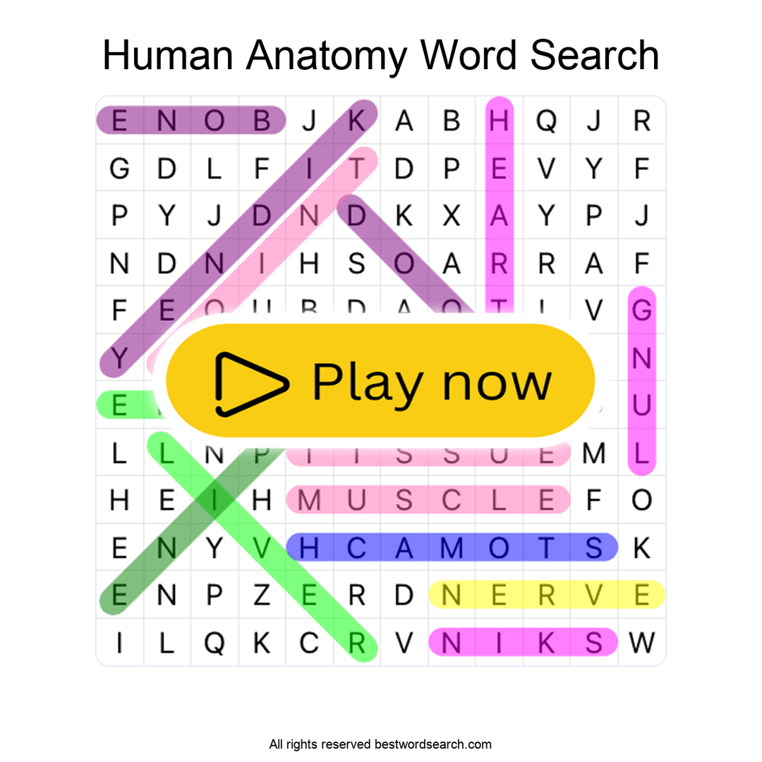 Human Anatomy puzzle
