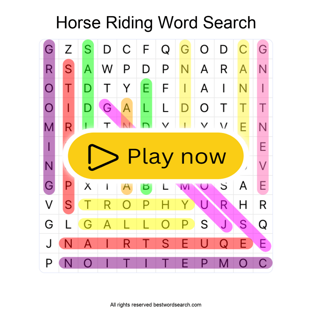 Horse Riding puzzle