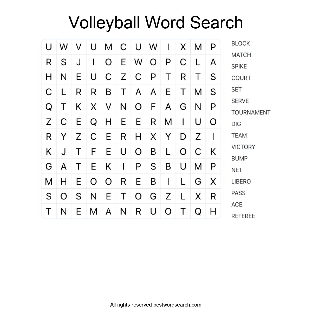 VOLLEYBALL (SPORTS) Word Search Puzzle