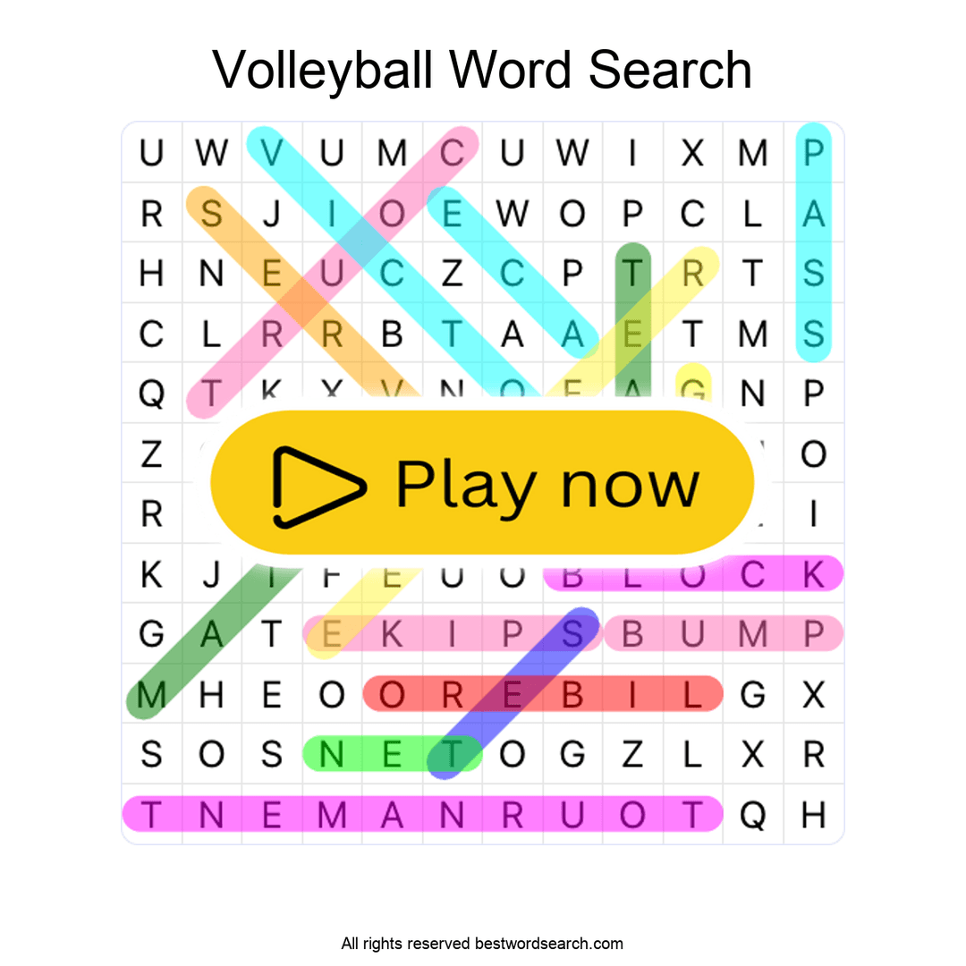 Volleyball puzzle