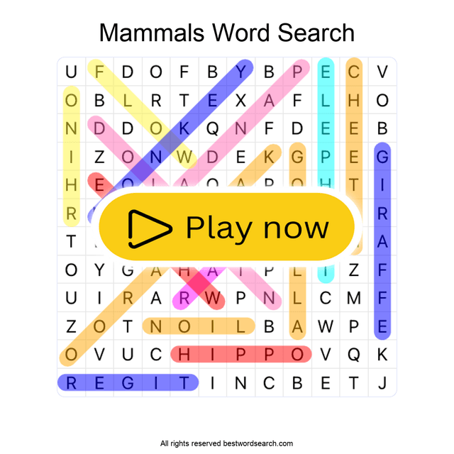 Carnivores Animals Word Search Carnivores animals word search